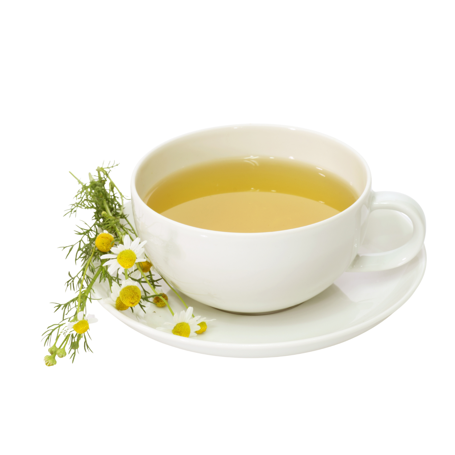 Camomile Tea