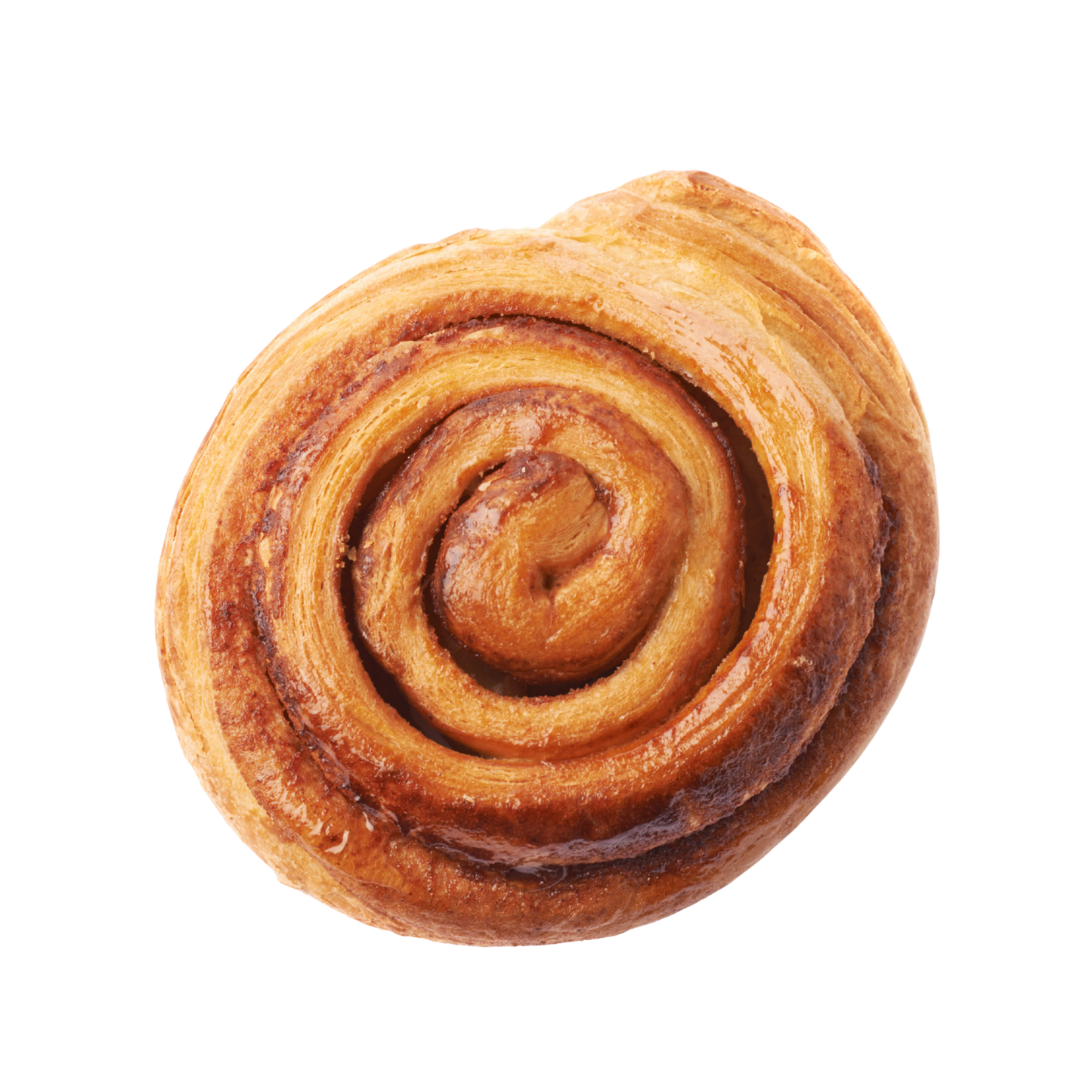 Cinnamon Roll