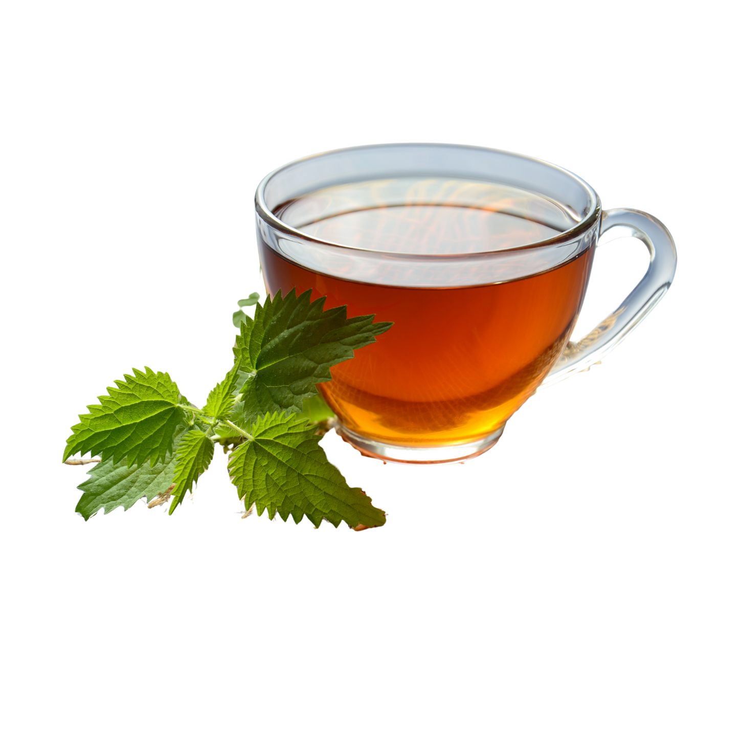 Peppermint Tea
